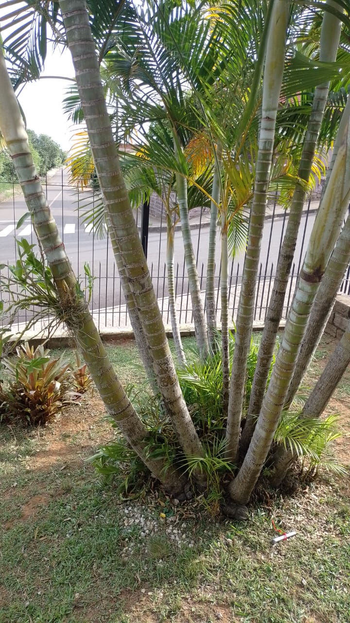 Casa no Bairro Coqueiros